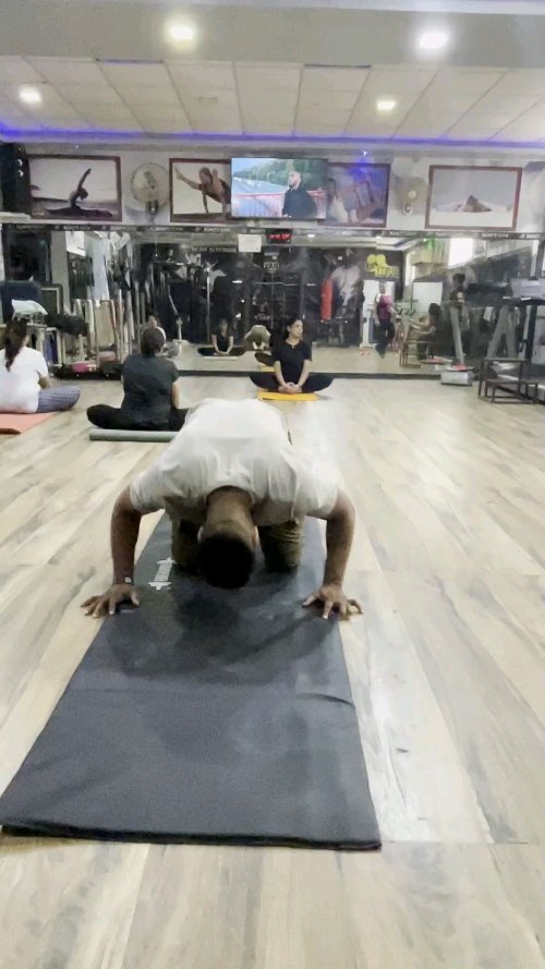 Pushups training